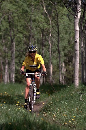 Biking in the Aspens ( click for trails )