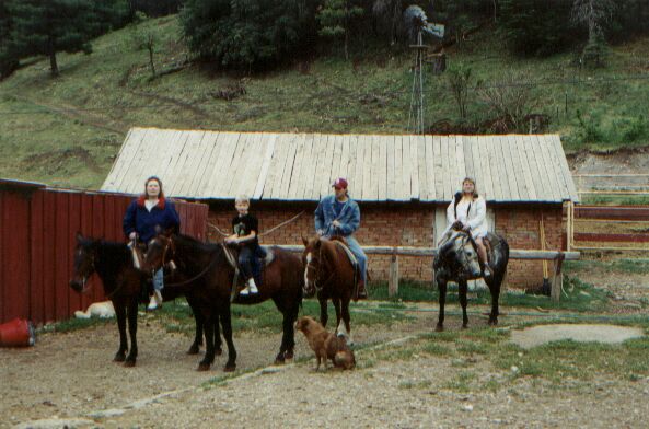 Chippeway Stables