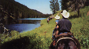 Teton Horseback Adventures