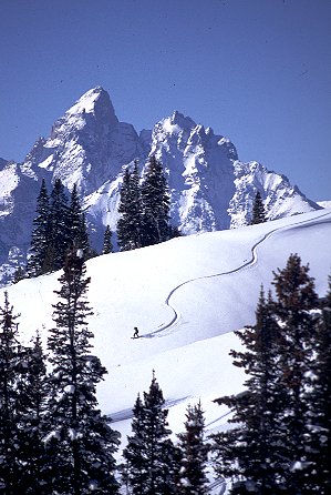 Jackson Hole Ski Area